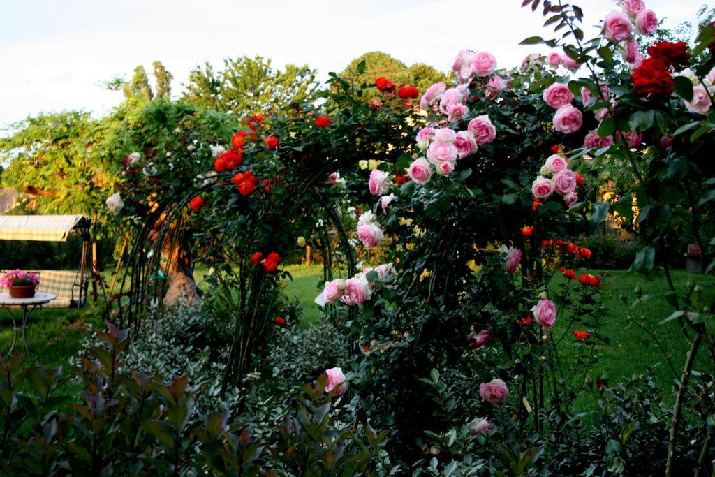 Argaland Farm stay Parma