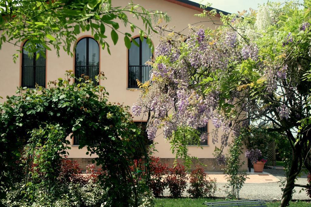 Argaland * Parma