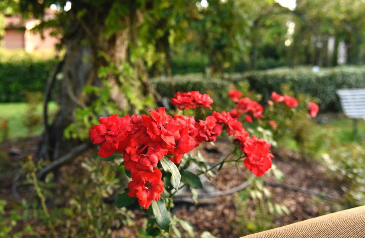 Argaland Farm stay Parma