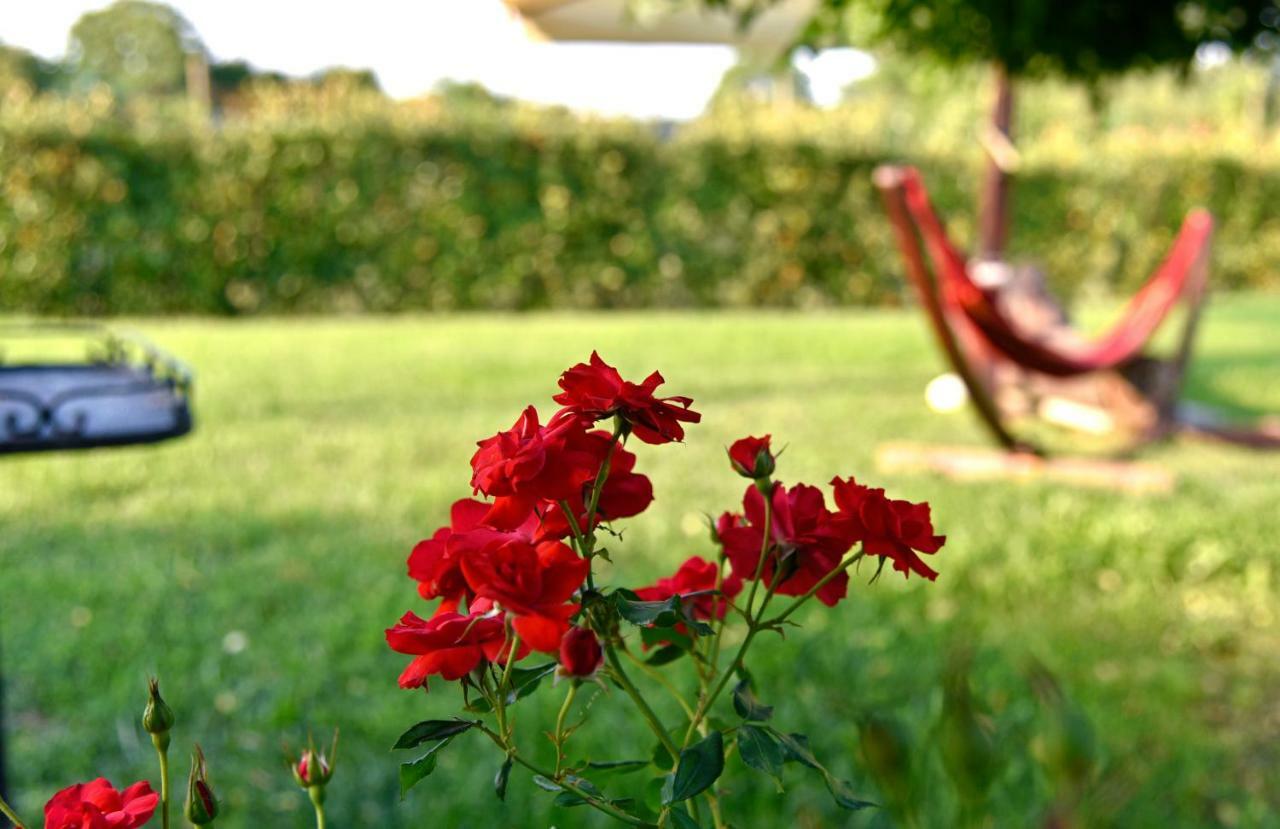 Argaland Farm stay *